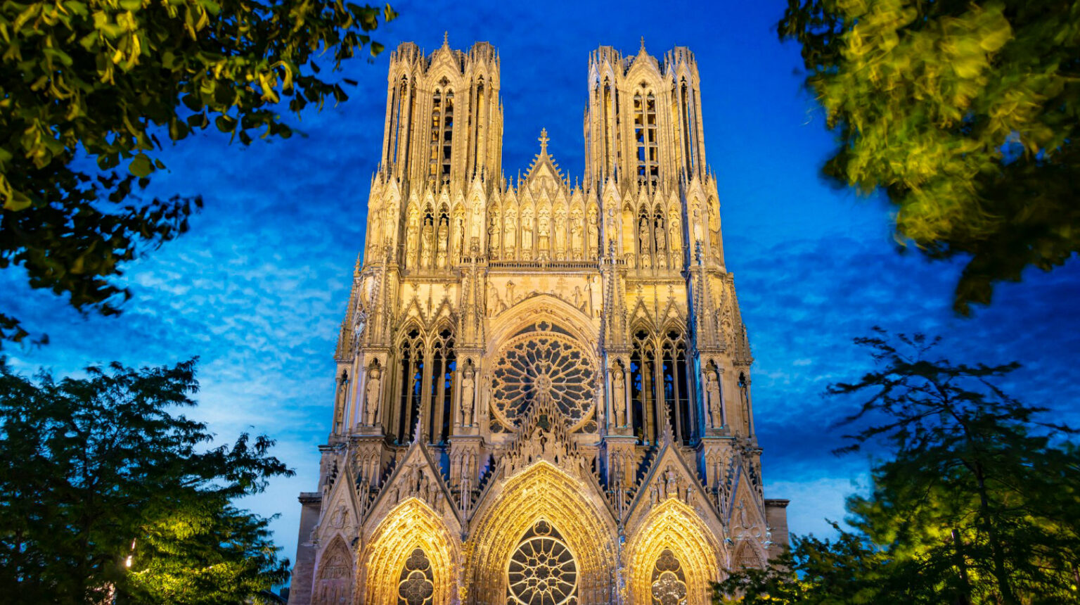 AIDV — International Wine Law Association